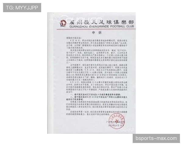 比赛申诉中的规则依据与裁判判罚复核流程详解